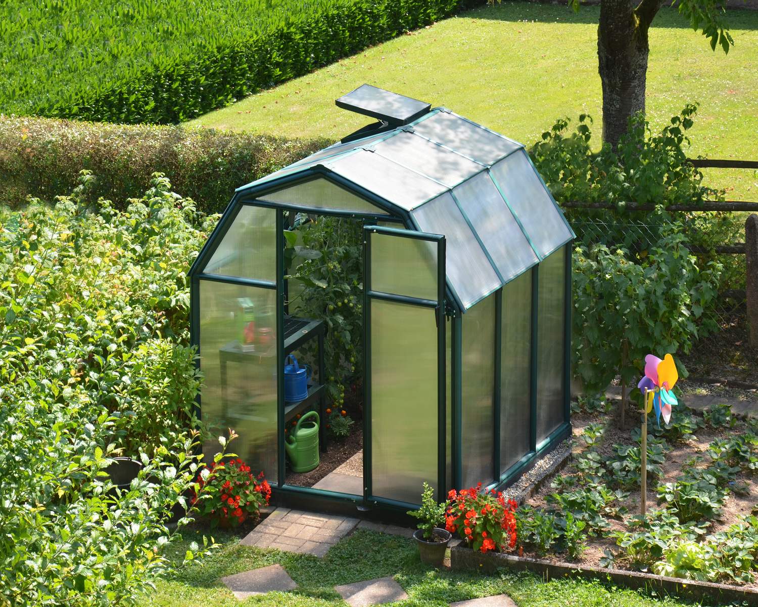 palram-canopia-gew-chshaus-eco-grow-4-1-m image 4
