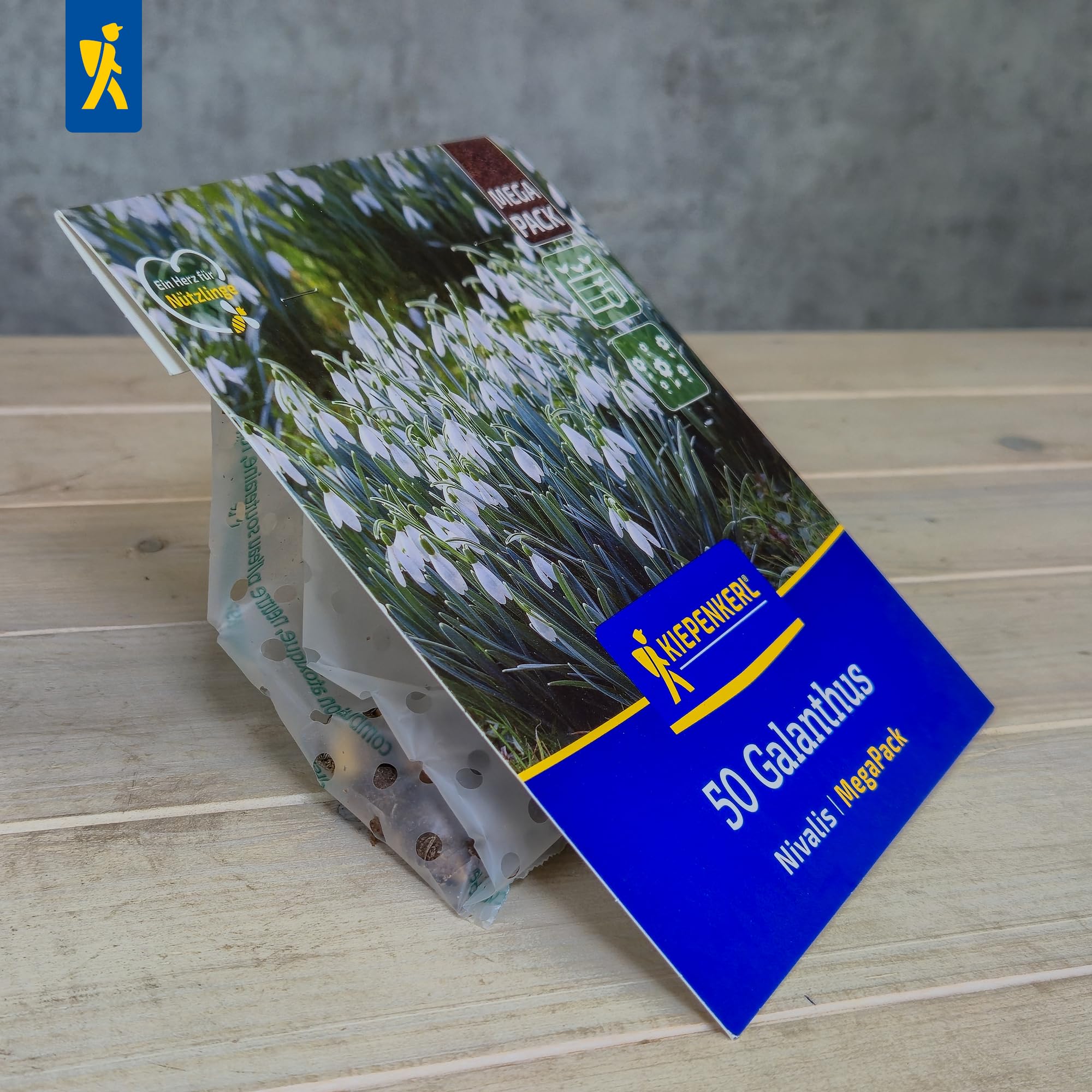 kiepenkerl-schneegl-ckchen-galanthus-nivalis-mega-pack-50-pflanzen-wei image 4