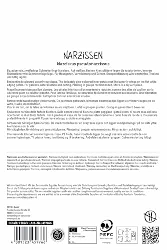 sperli-splei-kronige-narzisse-cum-laude-wei-rosa-schmetterlingsnarzisse-45-cm image 8