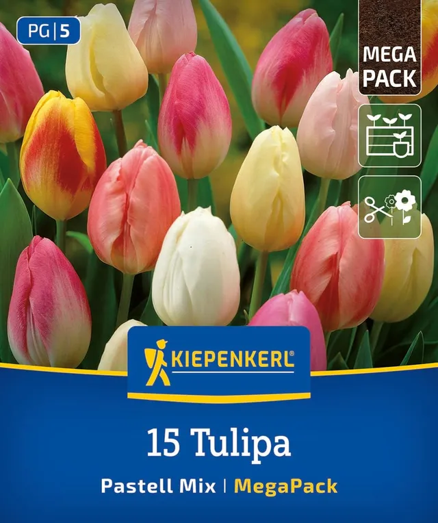 kiepenkerl-profi-line-triumph-tulpe-pastell-farbenspiel-mega-pack-blumenzwiebeln image 1