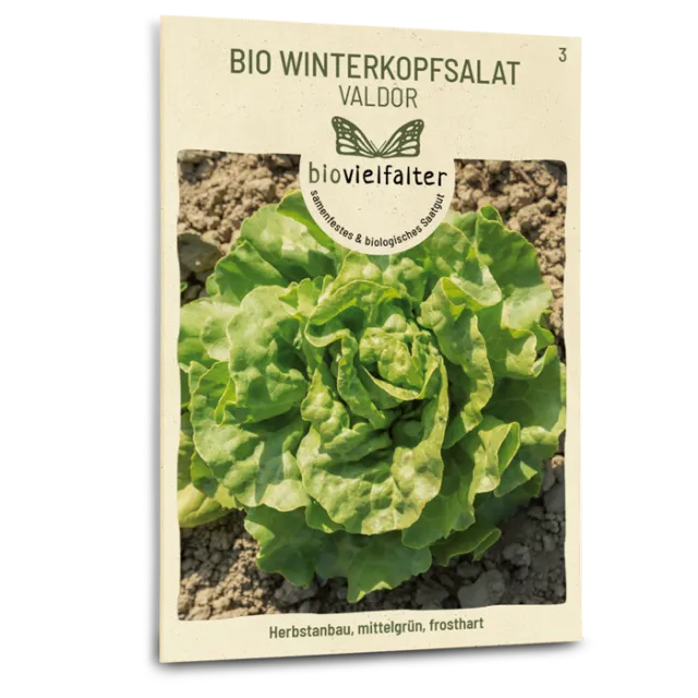 samen-maier-bio-winterkopfsalat-valdor-wintersalat-samen image 1