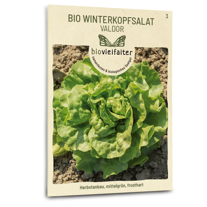 samen-maier-bio-winterkopfsalat-valdor-wintersalat-samen image 1