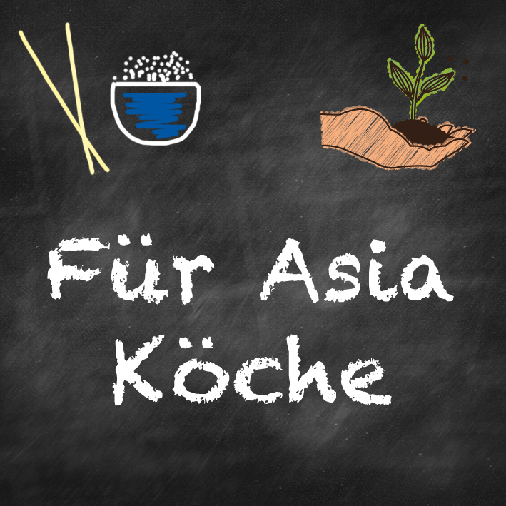 samen-maier-beet-box-f-r-asia-k-che-saatgut-set image 7