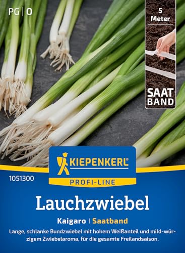 kiepenkerl-lauchzwiebel-kaigaro-saatband-gem-sesaat image 7