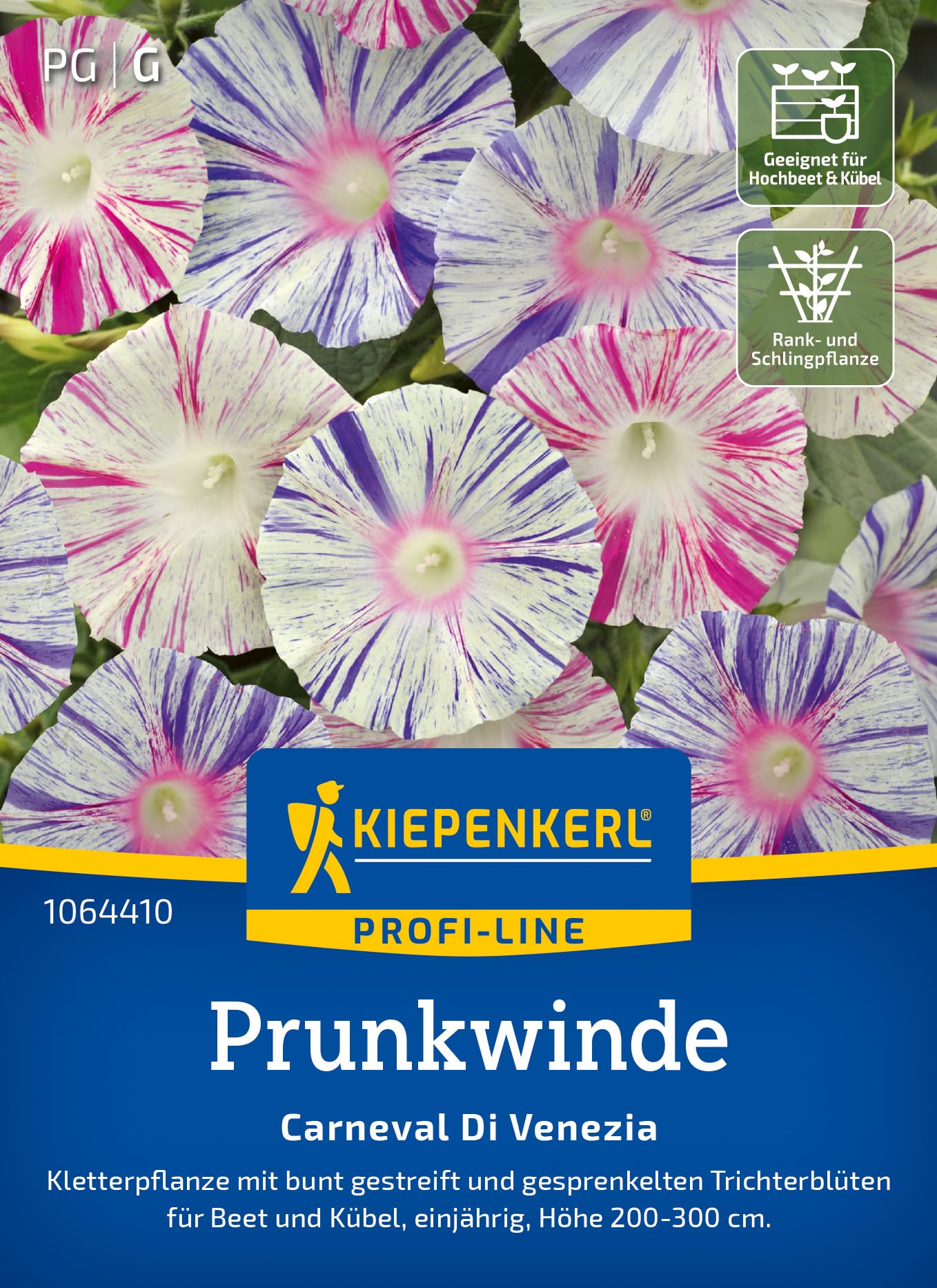 kiepenkerl-sommeraster-lady-coral-mischung-1060210-blumensamen image 6