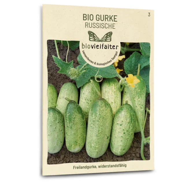 samen-maier-bio-gurke-russische image 1