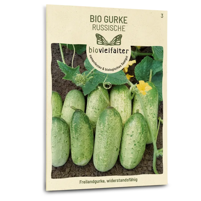 samen-maier-bio-gurke-russische image 1