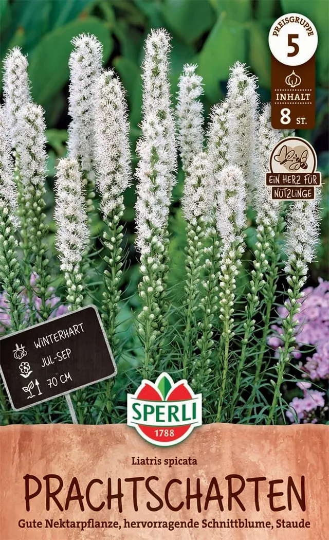 sperli-prachtscharte-wei-263626-winterharte-blumenzwiebeln-f-r-staudenbeet image 1