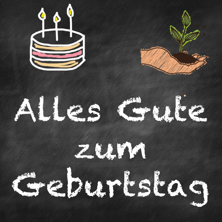 samen-maier-beet-box-alles-gute-zum-geburtstag-geschenkset image 7