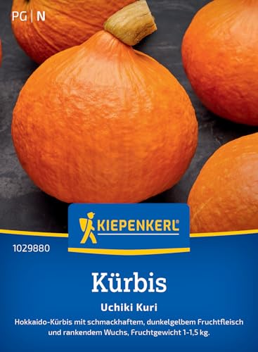 kiepenkerl-uchiki-kuri-k-rbis-hokkaido-gem-sesamen image 7