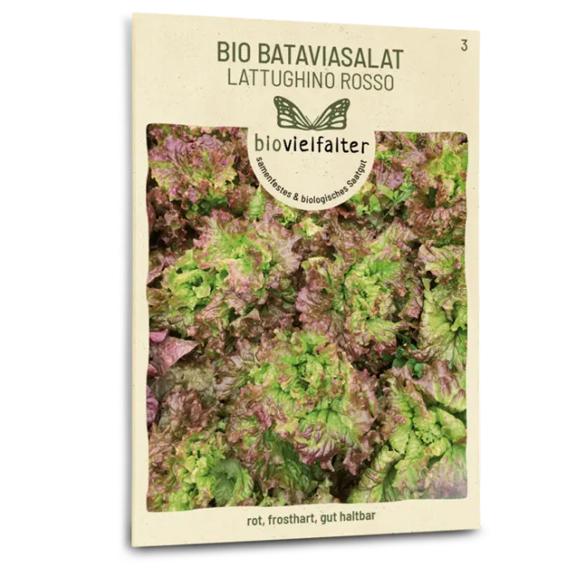 samen-maier-bio-bataviasalat-lattughino-rosso-samen image 1