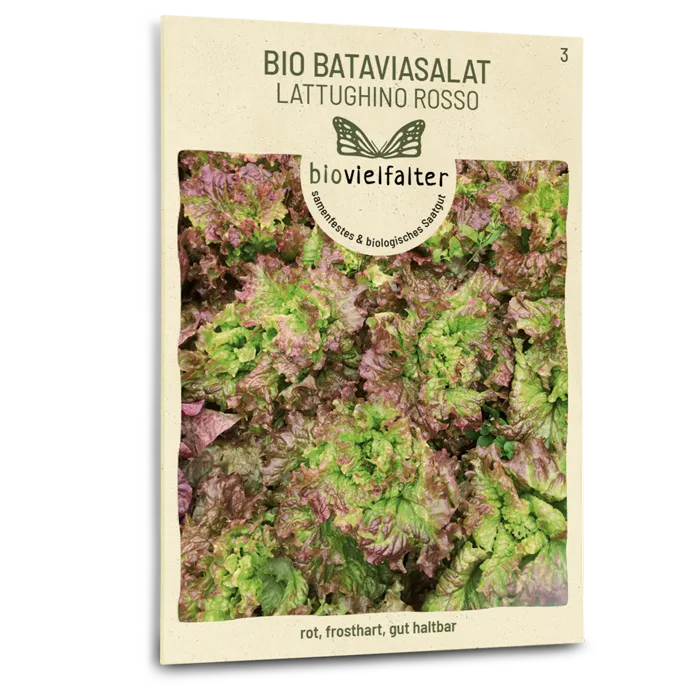 samen-maier-bio-bataviasalat-lattughino-rosso-samen image 1