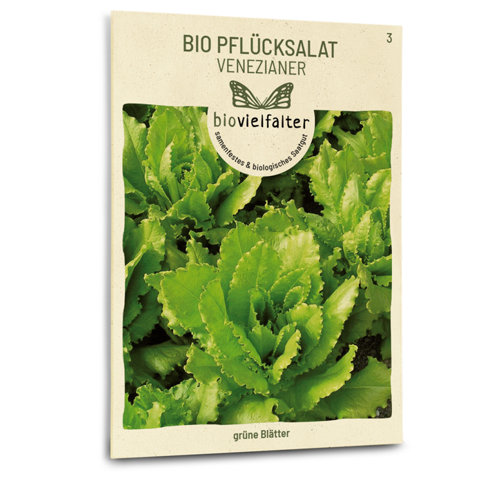 samen-maier-bio-pfl-cksalat-venezianer-salatsamen image 1