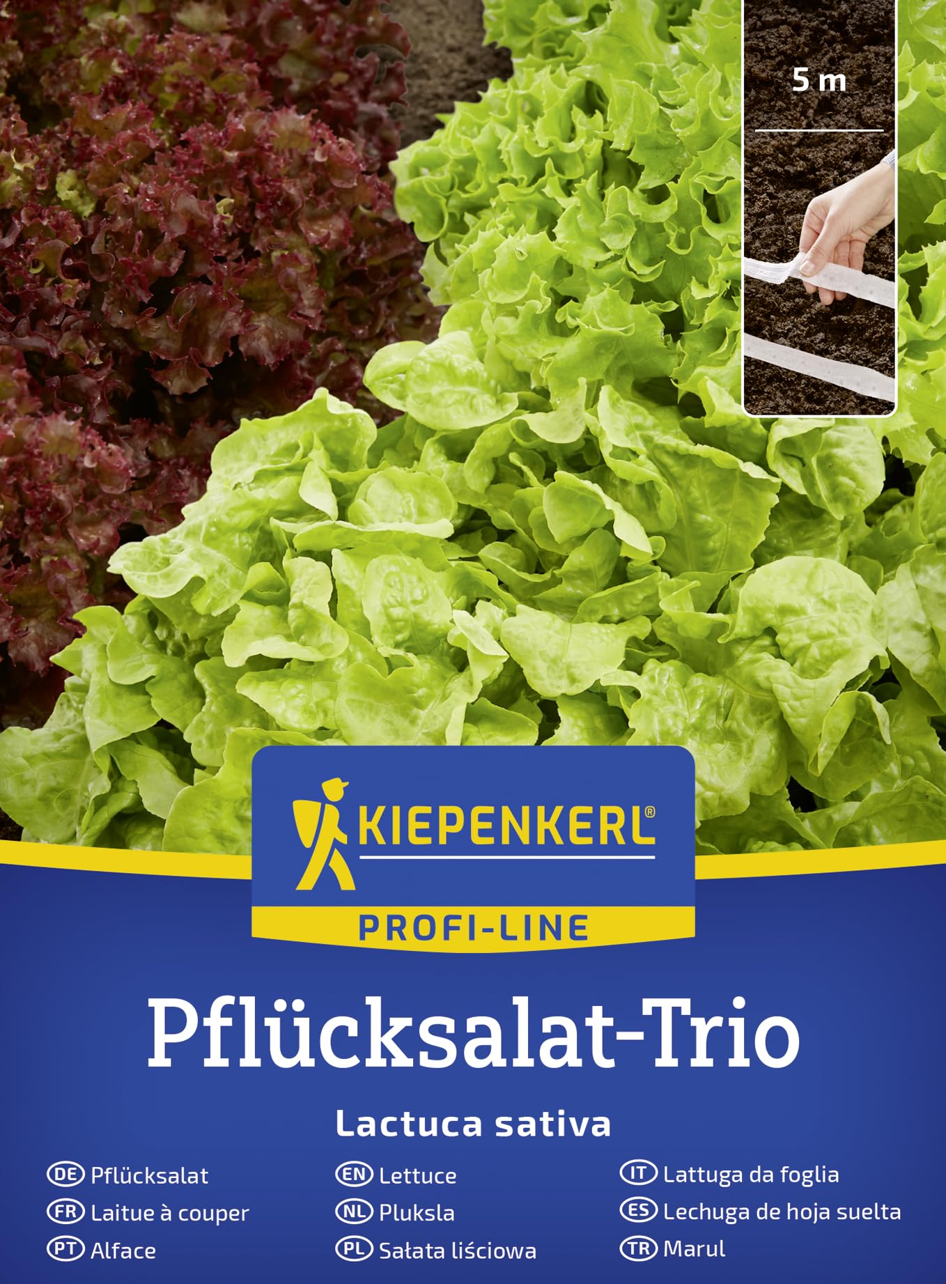 kiepenkerl-spinatsamen-helios-f1-gem-sesaat-schossfest-mehltauresistent image 7