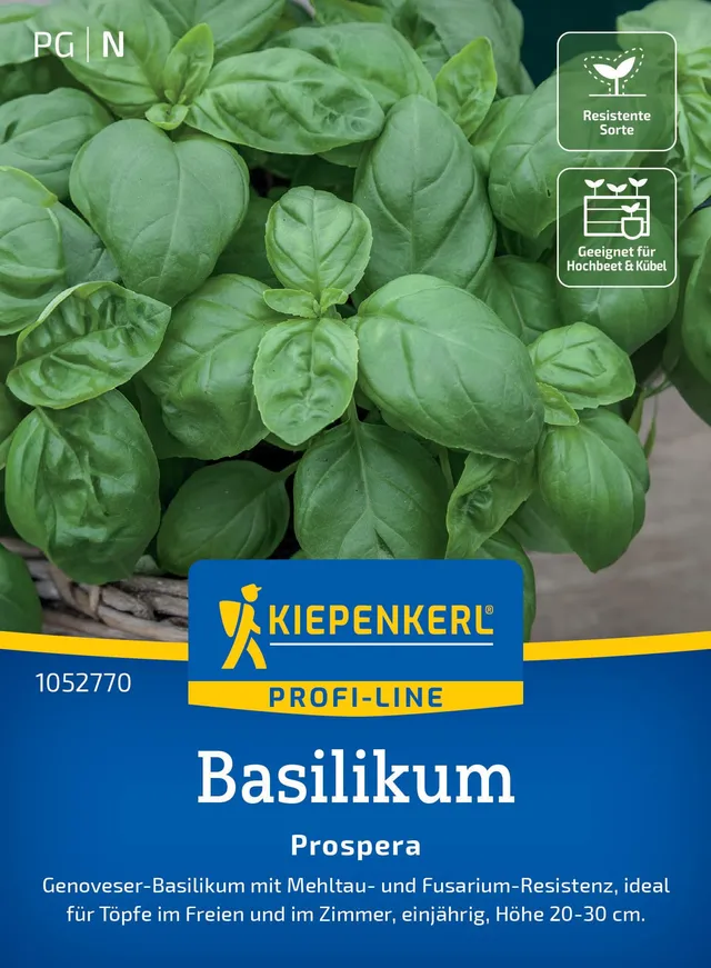 kiepenkerl-basilikum-prospera-f1-1052770-kr-utersaat image 1