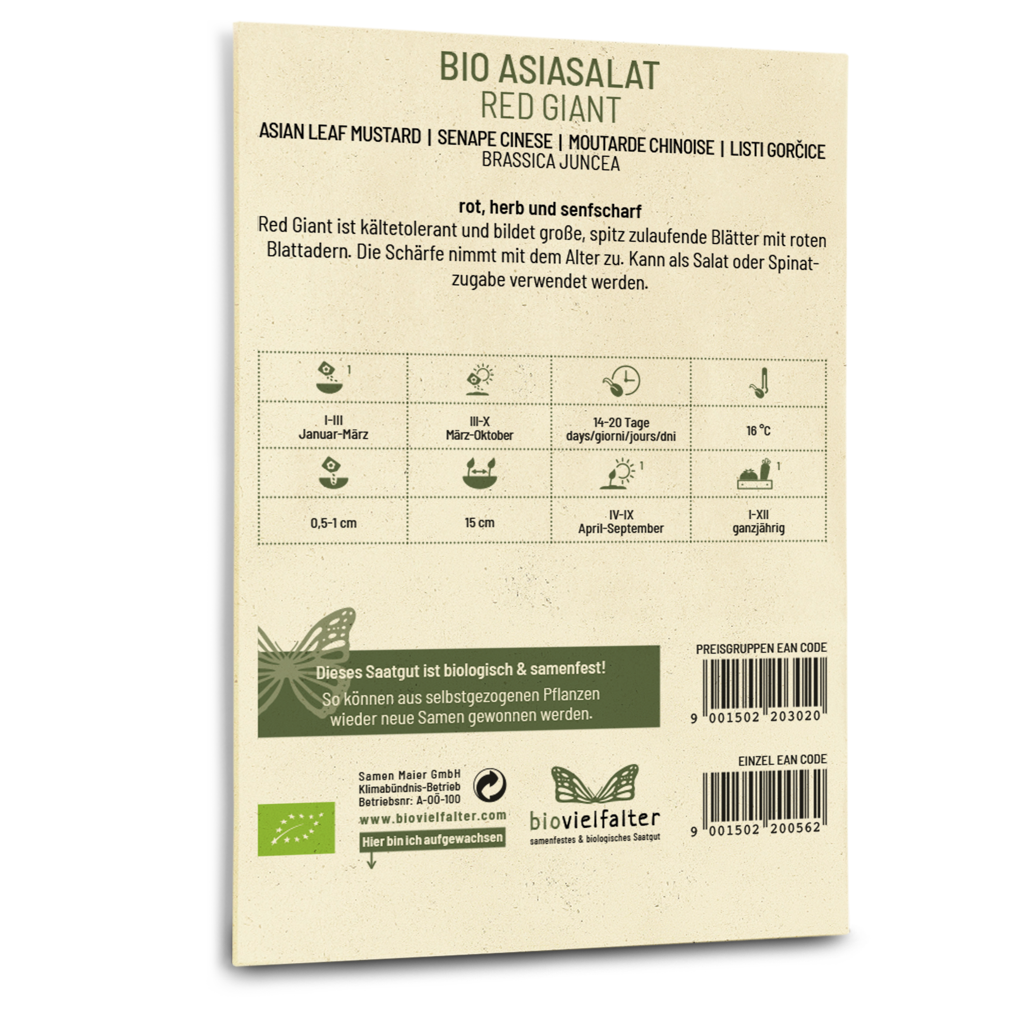 samen-maier-bio-asia-salat-red-giant-salatsamen image 2