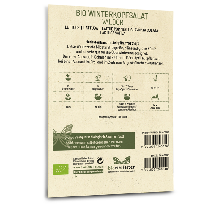 samen-maier-bio-winterkopfsalat-valdor-wintersalat-samen image 2