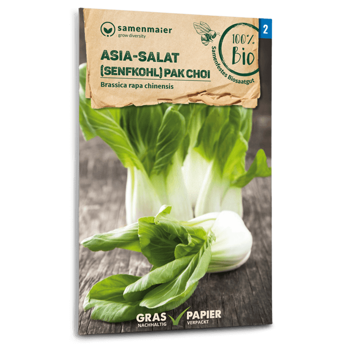 samen-maier-bio-asia-salat-senfkohl-pak-choi-samen image 1
