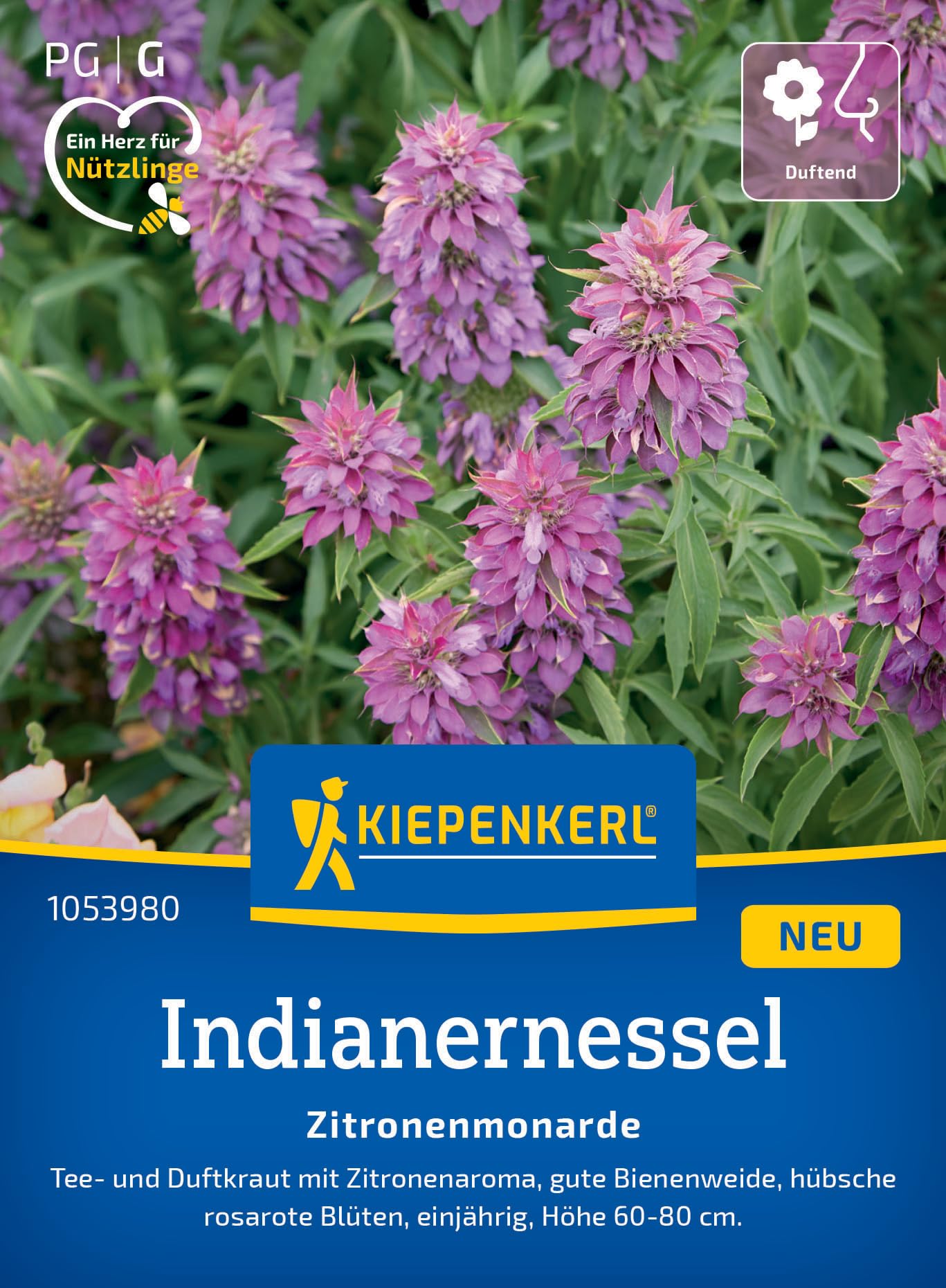 kiepenkerl-basilikumsamen-floral-spires-lavendelblau-1052330-kr-utersaat image 8