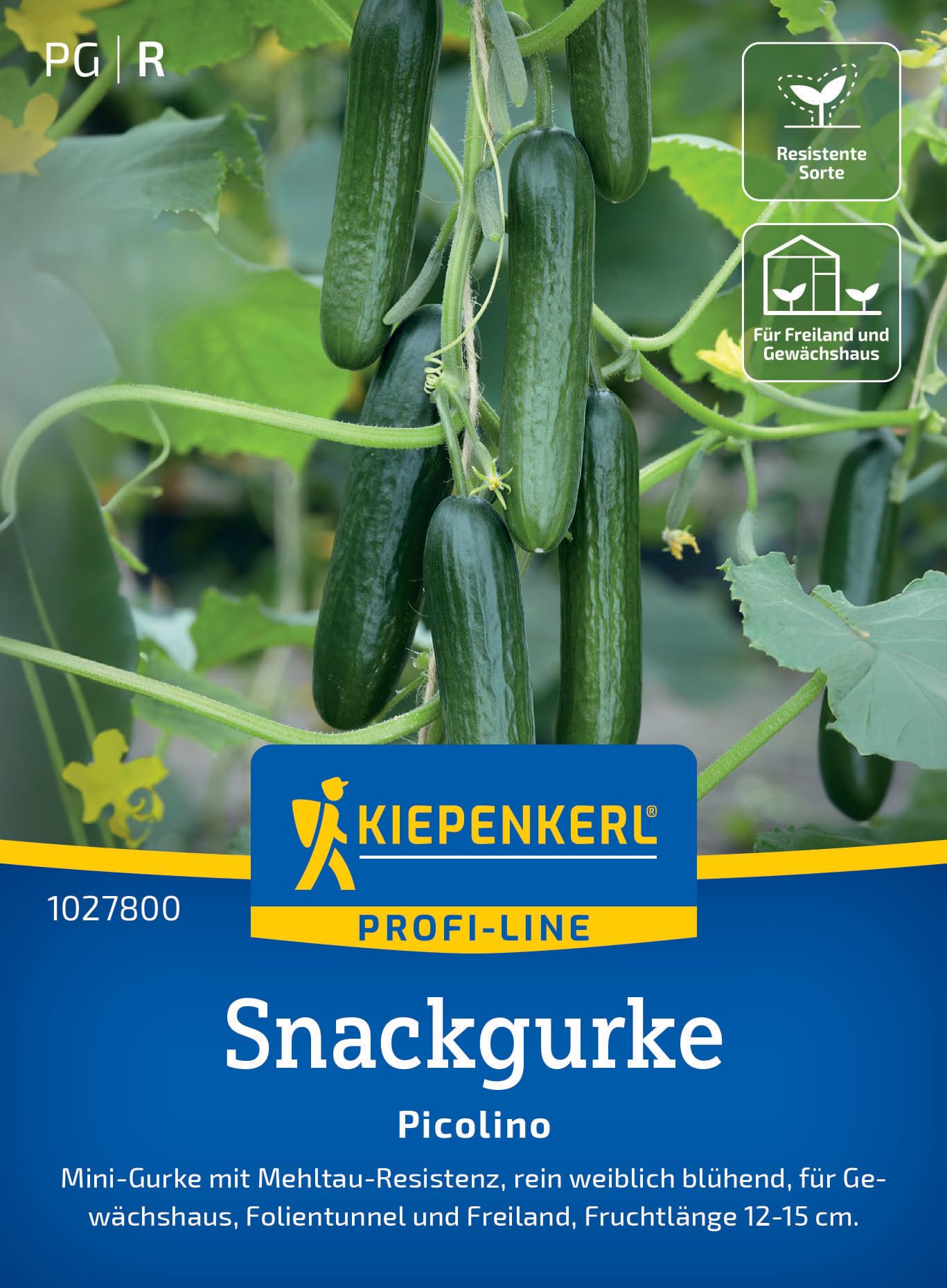 kiepenkerl-einlegegurke-diamant-gem-sesamen image 7