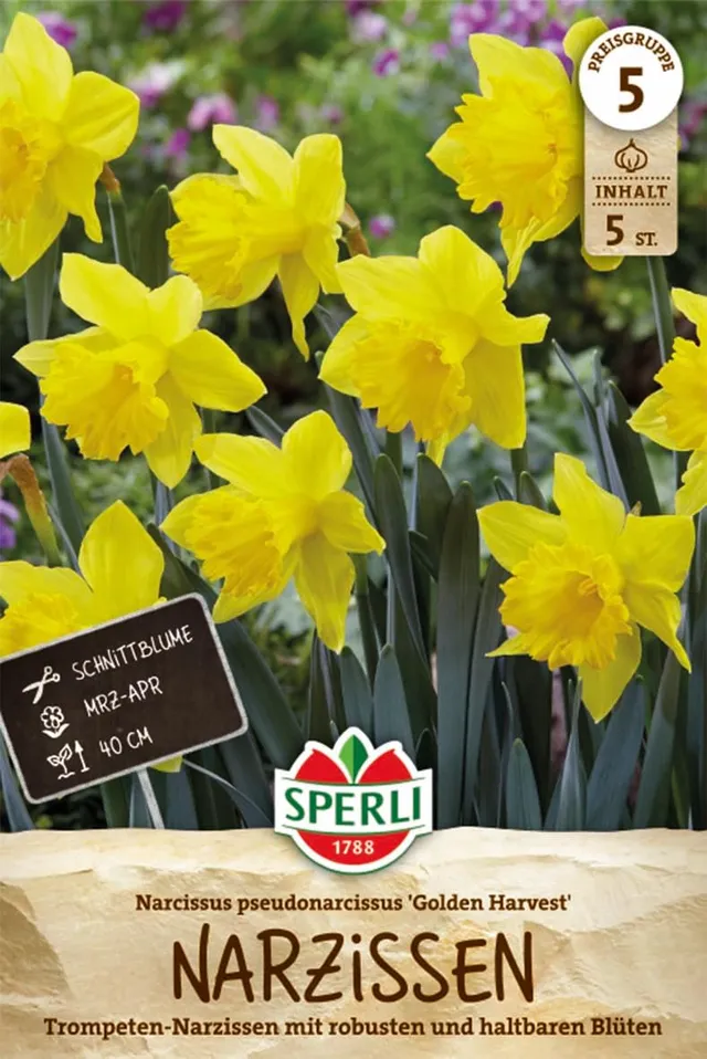 sperli-trompeten-narzisse-golden-harvest-456974-40-cm-f-r-5-pflanzen image 1