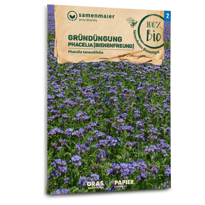samen-maier-bio-gr-nd-ngung-phacelia-bienenfreund-samen image 1