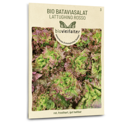 samen-maier-bio-bataviasalat-lattughino-rosso-samen image 3