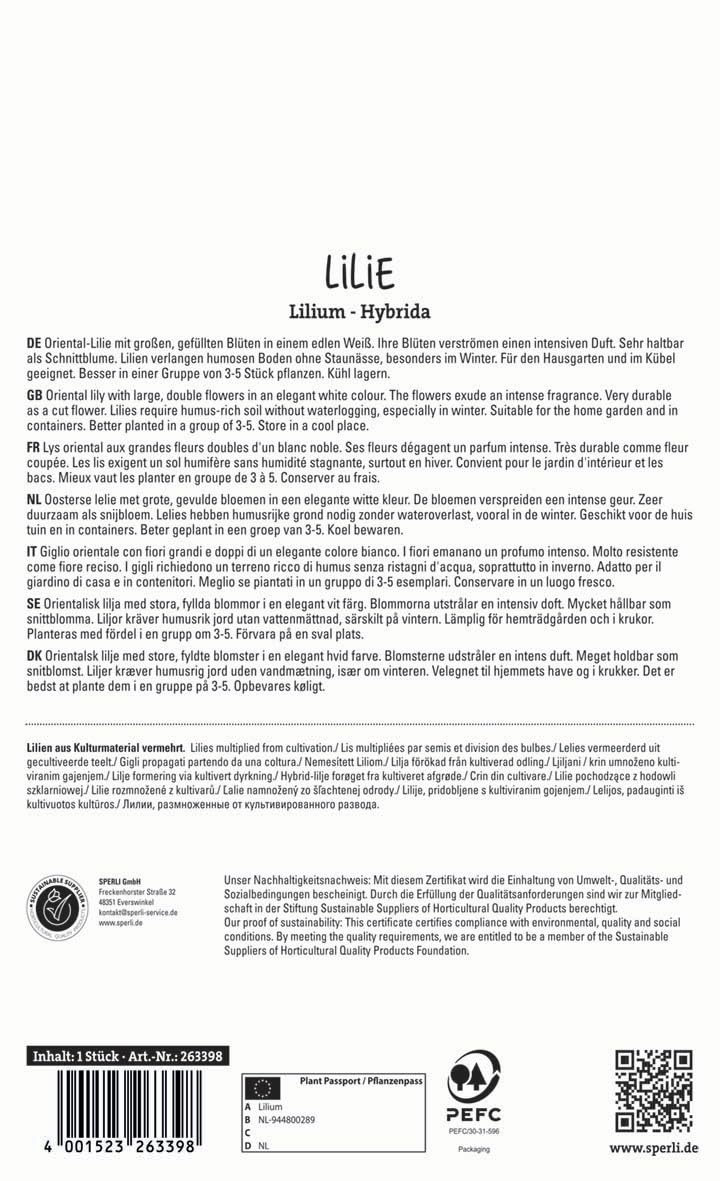 sperli-lilie-polar-star-263398-lilienzwiebeln-schneewei-gef-llt image 2