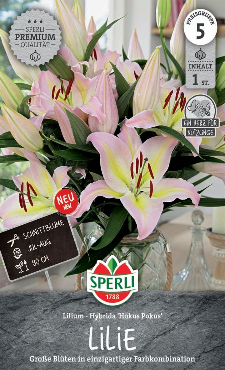 sperli-lilie-hokus-pokus-blumenzwiebeln-dreifarbig-90-100-cm-winterhart image 1