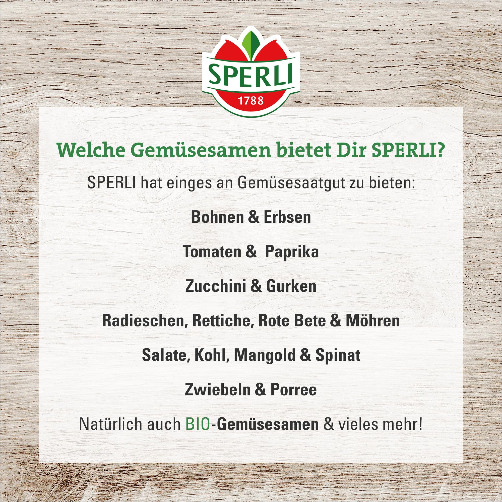sperli-zitronengurke-lemon-80854-gem-sesaat image 3