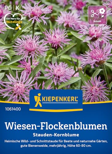 kiepenkerl-wiesen-flockenblume-stauden-kornblume-1061400-blumensaat image 6