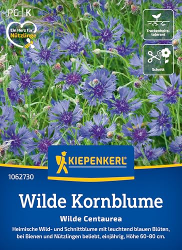kiepenkerl-wilde-kornblume-wilde-centaurea-blumensaatgut image 6