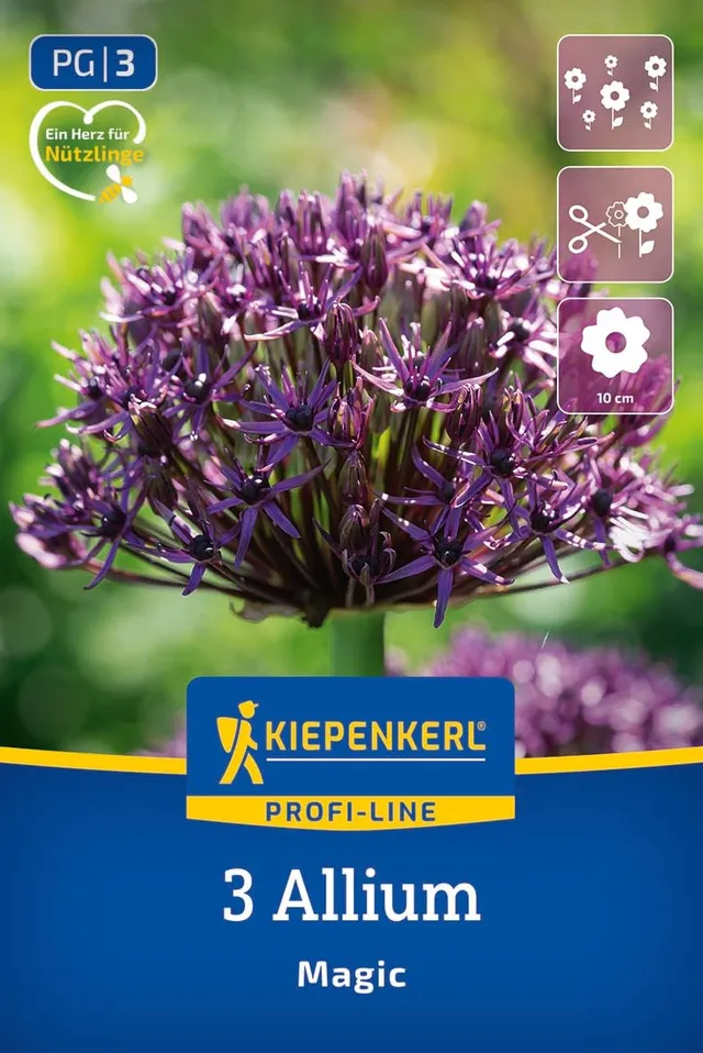 kiepenkerl-profi-line-zierlauch-magic-alliumzwiebeln image 1