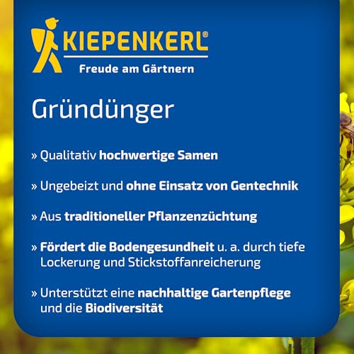 kiepenkerl-boden-therapie-mischung-gr-nd-ngung-blumensaat image 8