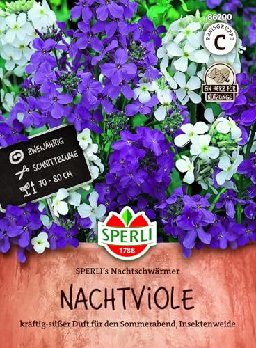 sperli-nachtviole-nachtschw-rmer-duftende-blumensamen image 7