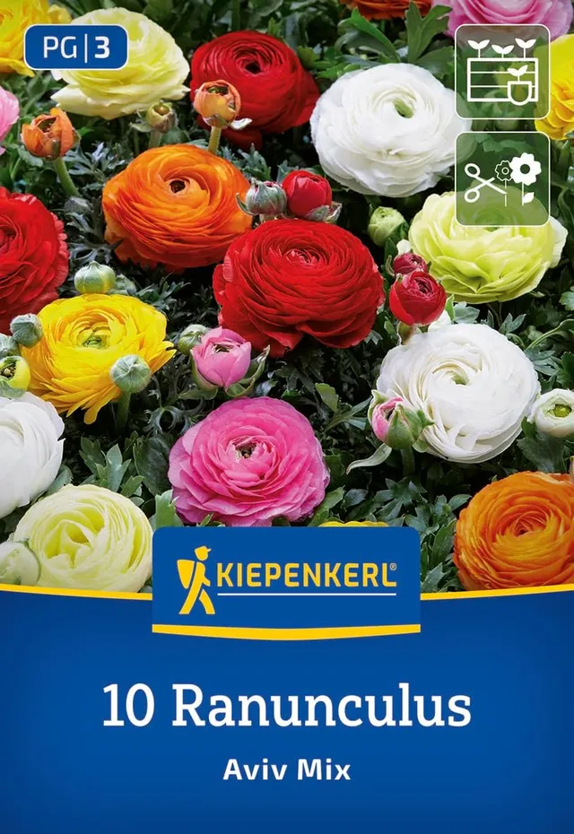kiepenkerl-ranunkeln-mischung-aviv-mix-blumenzwiebel-mischung image 1