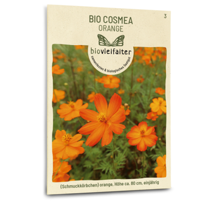 samen-maier-bio-cosmea-orange-saatgut image 3