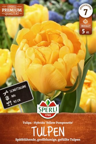 sperli-gef-llte-sp-te-tulpe-yellow-pompenette-456424-gelb-40-cm image 7