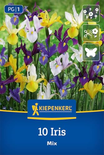 kiepenkerl-holl-ndische-schwertlilien-mischung-blumenzwiebeln-iris-hollandica-ma image 8