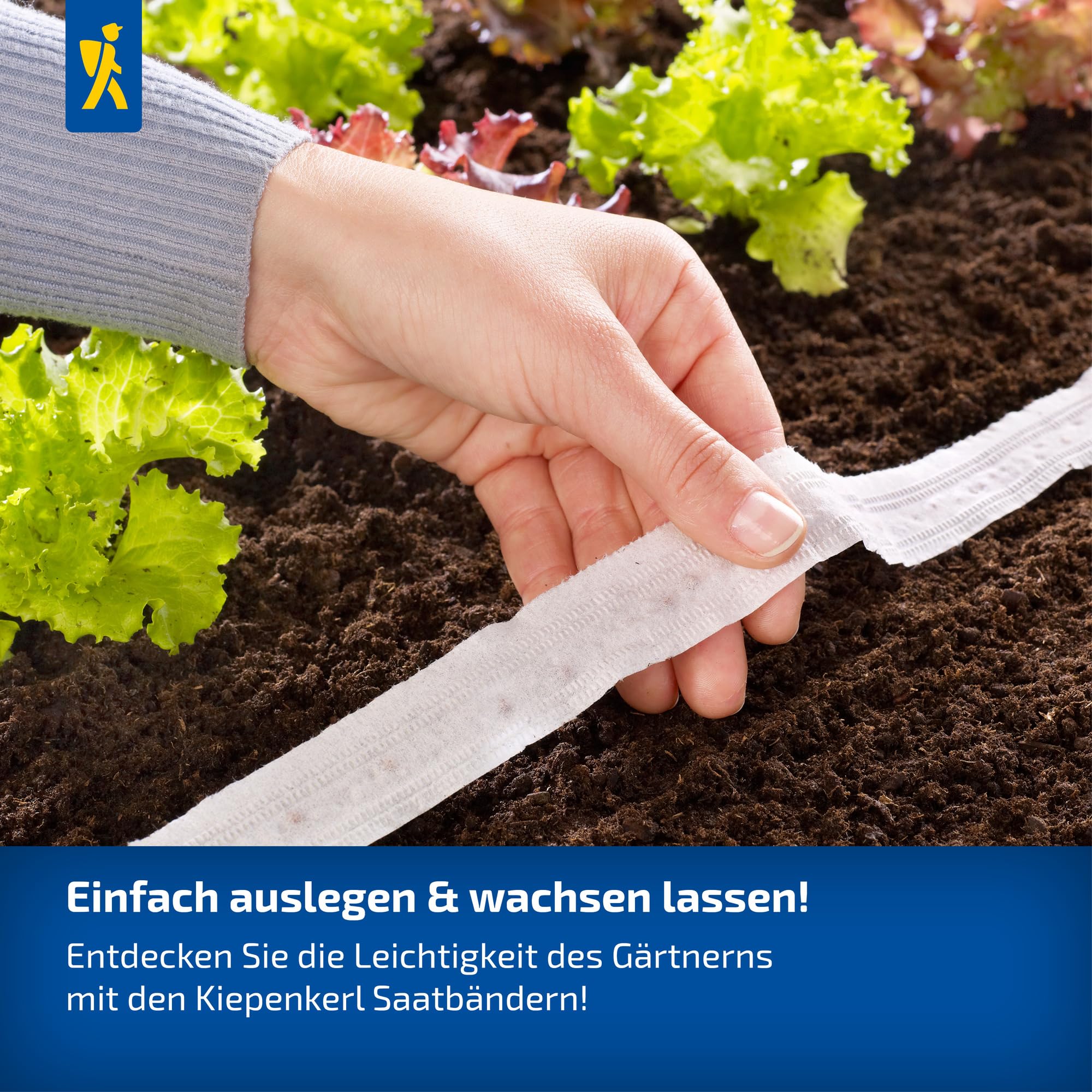 kiepenkerl-babyleaf-samen-maraldi-mischung-1022700-gem-sesaat image 3