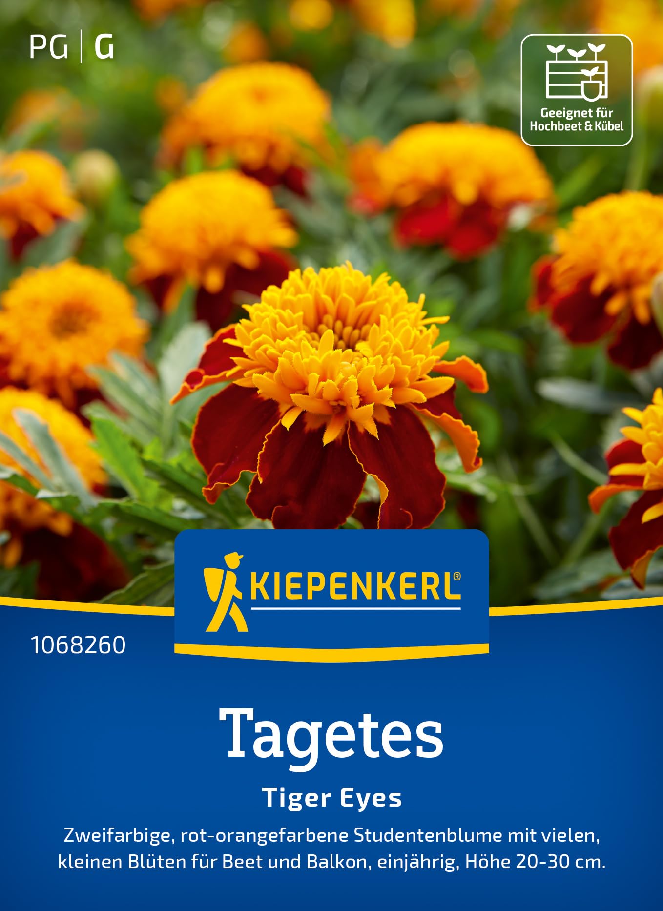 kiepenkerl-tagetes-giant-bicolour-1068120-sommerblumensaat image 7