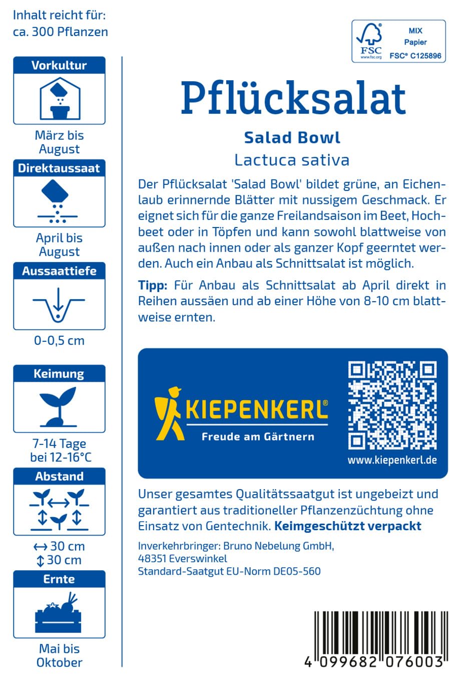 kiepenkerl-pfl-cksalatsamen-salad-bowl-1007600-gem-sesaat image 2