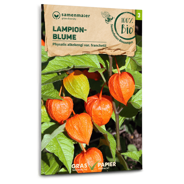 samen-maier-beet-box-ein-kleines-dankesch-n-bio-saatgut-set-5-sorten-mit-pflanzk image 4