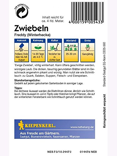 kiepenkerl-winterheckenzwiebel-freddy-ewige-zwiebel-samen image 2
