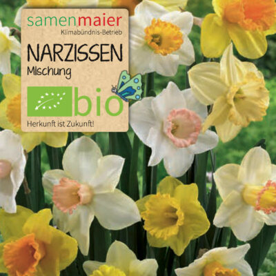 samen-maier-bio-narzissen-mischung-blumenzwiebeln image 2