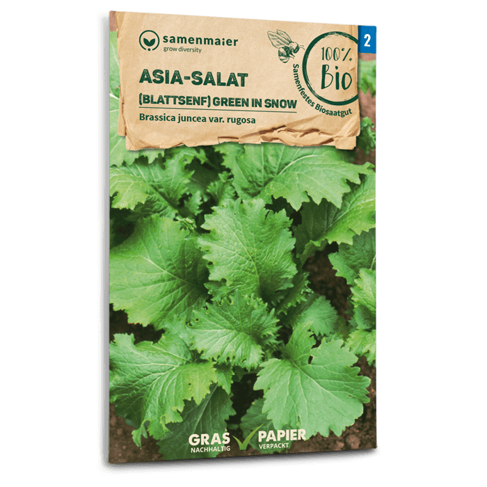 samen-maier-bio-asia-salat-green-in-snow-blattsenf-saatgut image 1