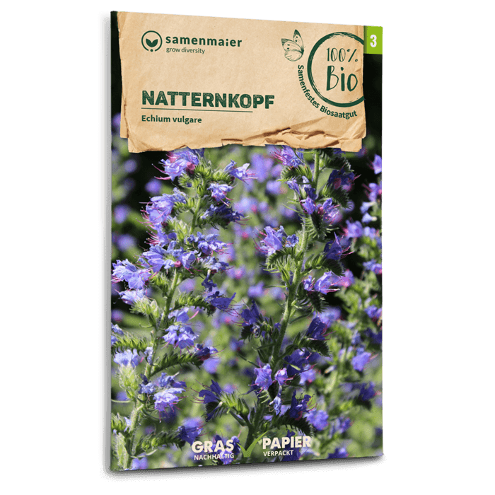 samen-maier-bio-wildblumen-natternkopf-blumensamen image 1