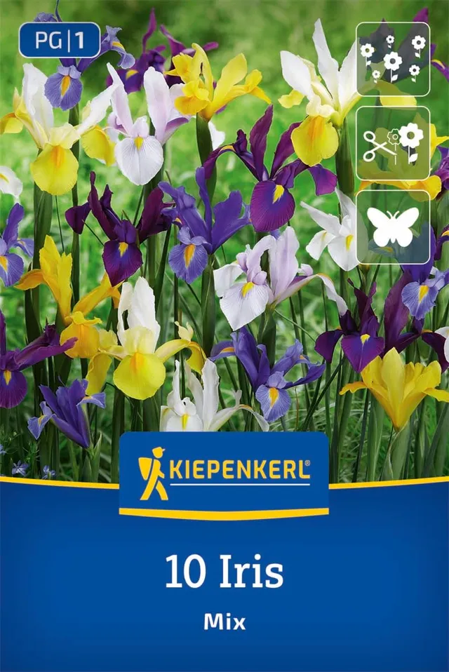kiepenkerl-holl-ndische-schwertlilien-mischung-blumenzwiebeln-iris-hollandica-ma image 1