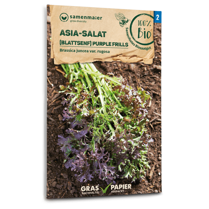 samen-maier-beet-box-f-r-die-gartenfee-5-sorten-set image 3