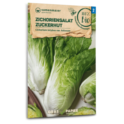 samen-maier-bio-zichoriensalat-zuckerhut-bio-saatgut image 3